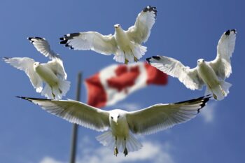 ¿Cómo emigrar a Canadá en 2025? Cambios importantes en el programa PGWP