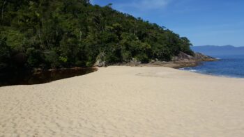 Descubrí los 5 Parques Imperdibles para Explorar en 2025